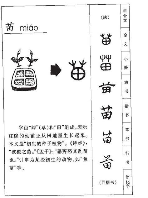 苗字意思|苗的解释